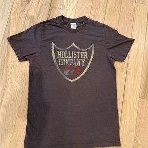 VINTAGE Hollister Brown Short Sleeve Graphic